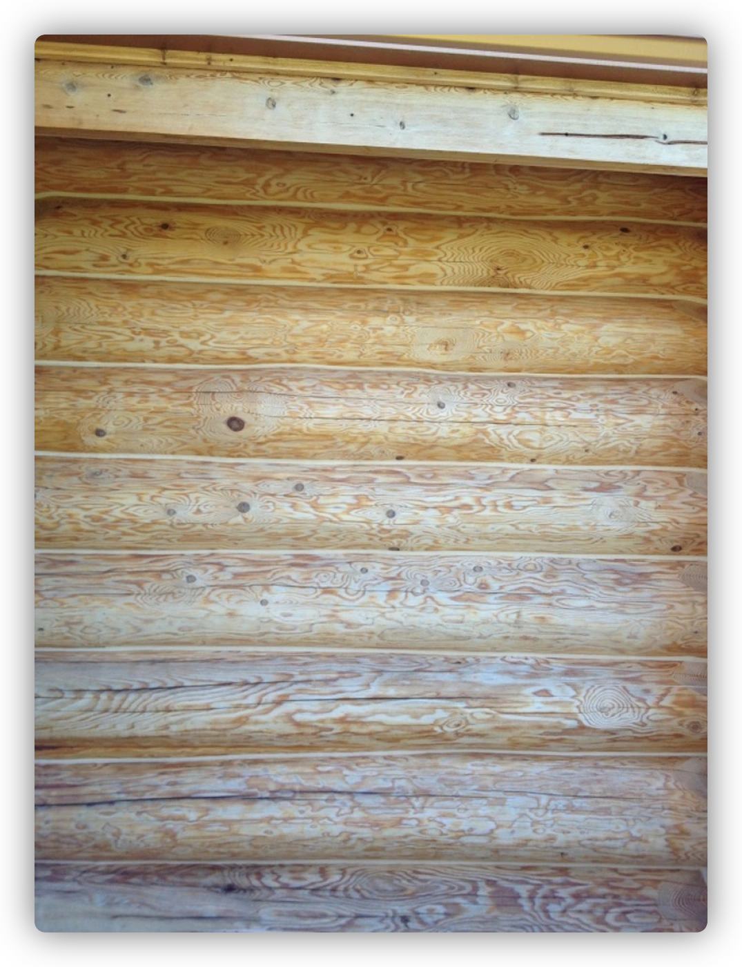 Yellow cedar house logs ready for stain